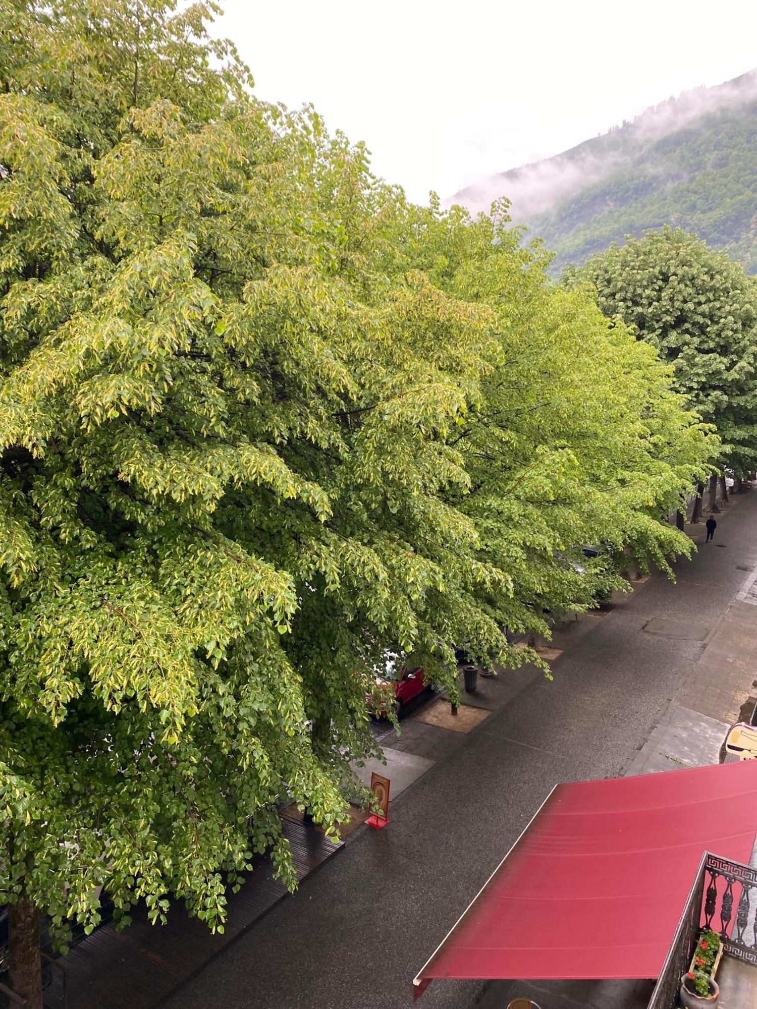 Au 47 Allees D'Etigny - Central & Standing - Avec Parking - Linge De Lit Et De Toilette Inclus Bagnères-de-Luchon Exteriör bild